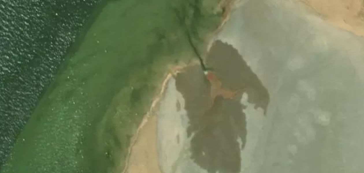 Satellite view of the sampling plot area
